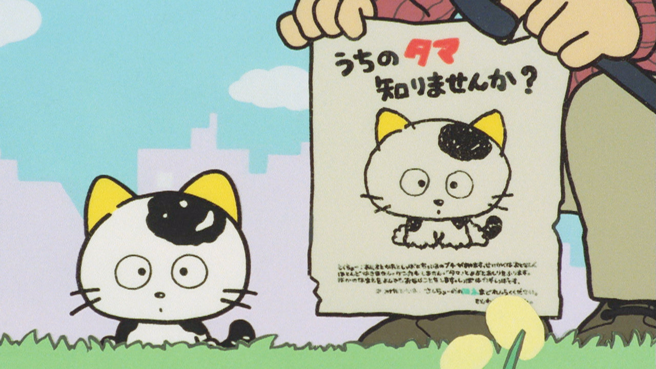 うち の タマ 知り ませ ん か Tvアニメ うちタマ うちのタマ知りませんか 公式サイト うち の タマ 知り ませ ん か Tvアニメ うちタマ うちのタマ知りませんか 公式サイト